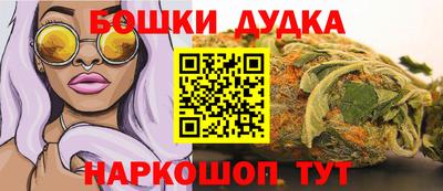 крисы Дубна