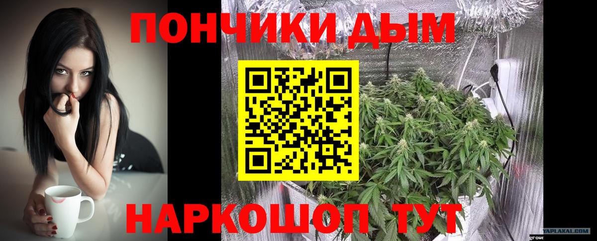 Канабис гибрид Новороссийск