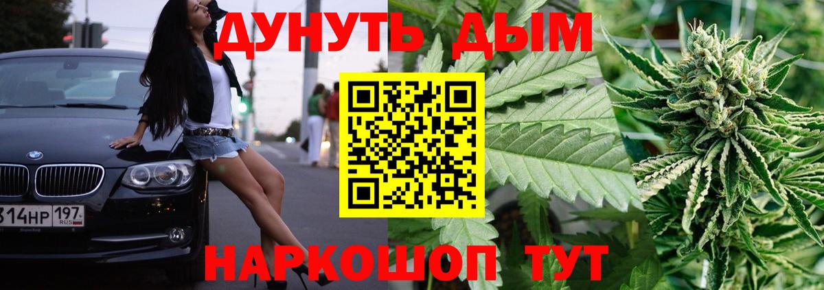Конопля тримм  Марихуана планчик  Вход с VPN  Каннабис планчик  Бошки Шишки конопля  Новороссийск 